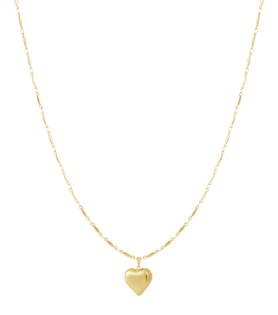 Long heart ketting