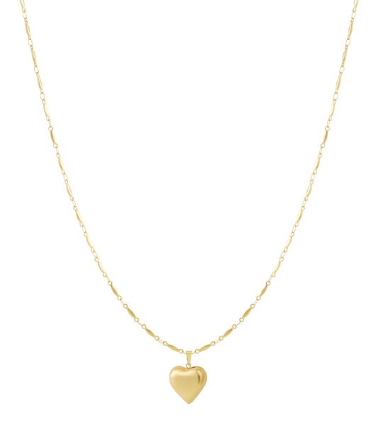 Long heart ketting